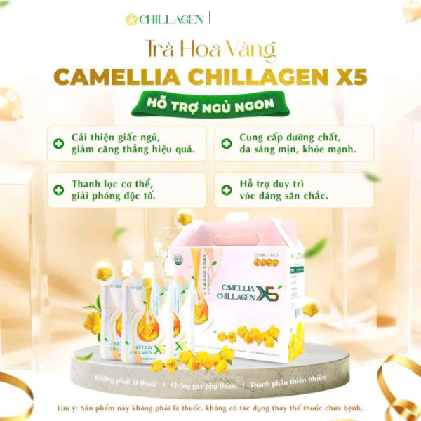Nước uống trà hoa vàng Camellia Chillagen X5 cân bằng nội tiết tố